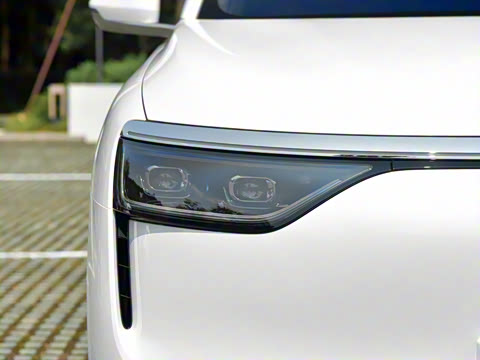 2025�� ���� Max+ ������������ 