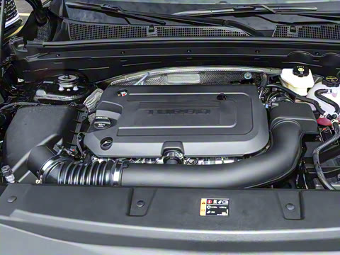 2026�� ������Plus ����Avenir��ά��