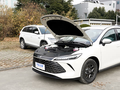 2026�� DM-i 128KM��ȡ��