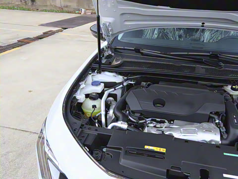 2025�� 508L 400THP Ԧ���콢��