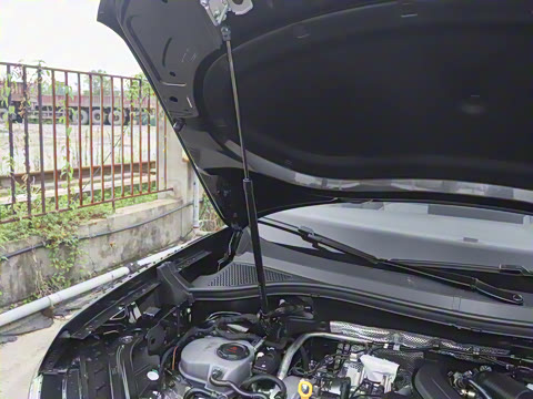 2026�� 3000������ѡ�� 300TSI