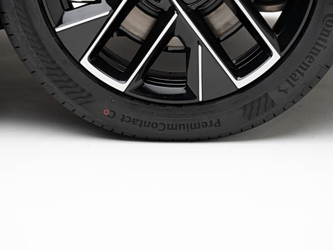 2026�� Max ˫������̰�