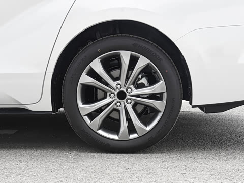 2027�� 2.5L ˫��������������