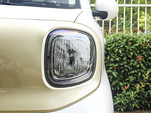 2026�� 222km ��Ȥ��