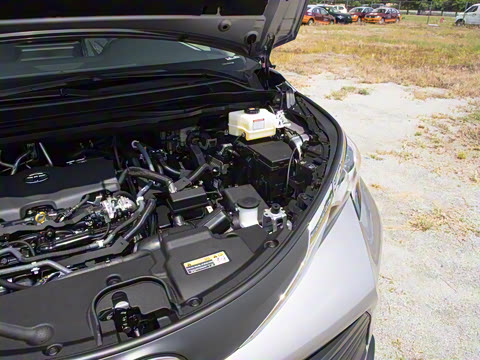 2026�� 2.5L ˫���������ʰ�