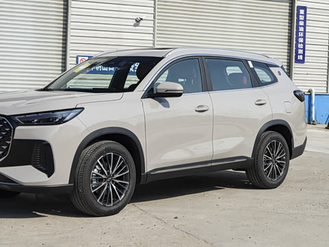 2026�� 290TGDI DCT������ 5��