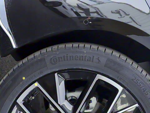 2025�� Elite���̰�