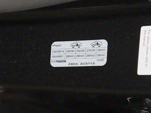 2025�� ����600 Pro