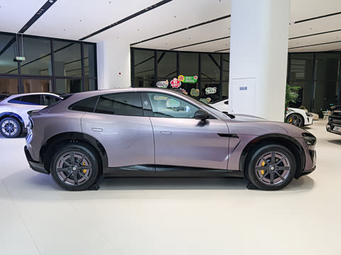 2025�� Pro��