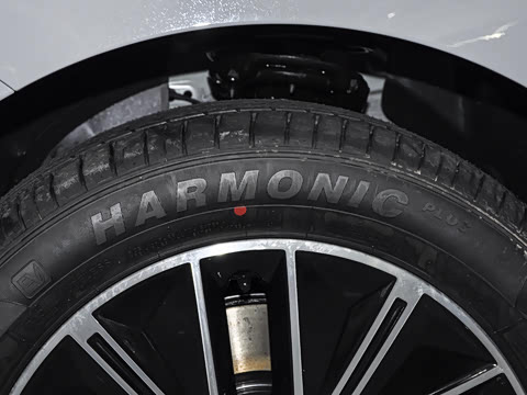 2026�� 520�Ǻ���