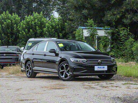 2025�� �Ŀ��� ������ 330TSI DSG������