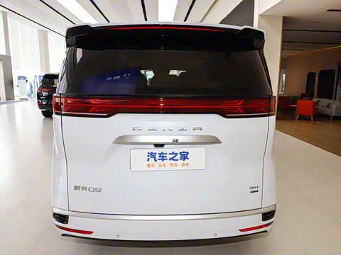 2025�� DM-i ��������