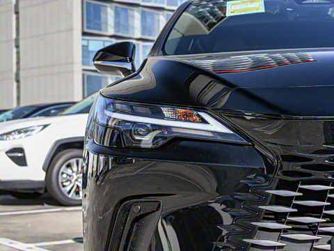 2026�� 300 ����������