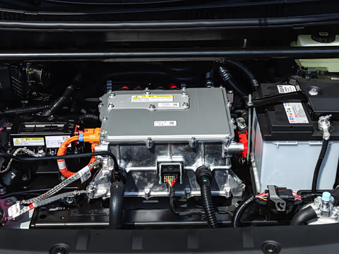 2026�� ������ JOY