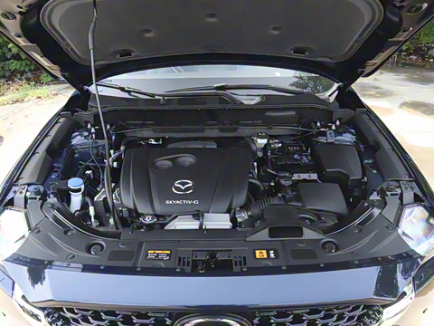 2025�� 2.0L �Զ���������Pro