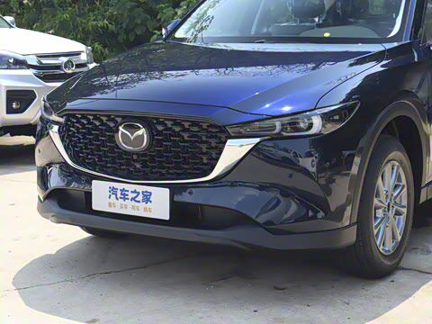 2025�� 2.0L �Զ���������Pro