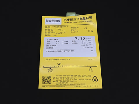 2025�� 2.0L �Զ���������Pro