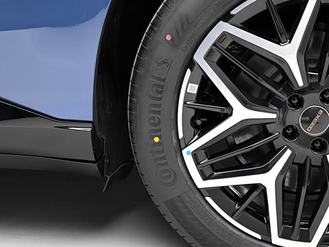 2026�� ���� ����Max��