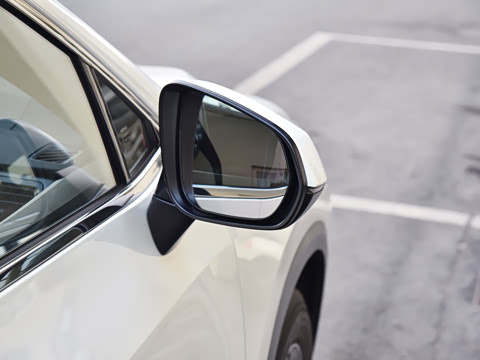 2026�� 200 ��ɫ�޶���