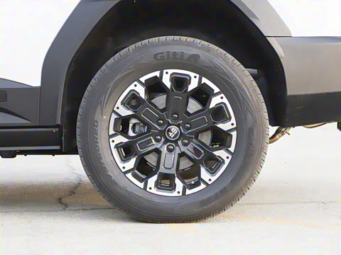 2025�� �Ǿ�Ǭ���� 5��