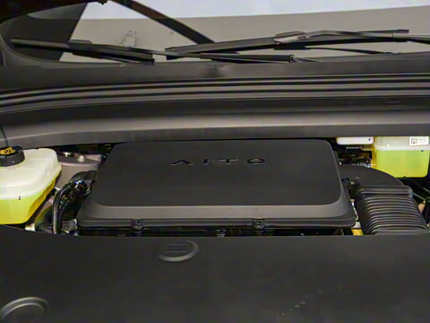 2026�� ���� Max������ 5��