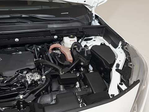 2024�� ˫�� 2.5L E-CVT��������