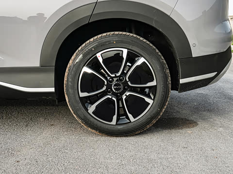 2026�� DM-i �Ǻ���