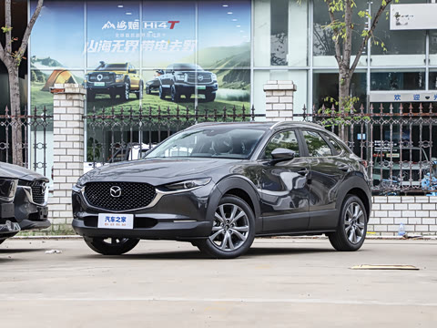 2025�� 2.0L �Զ�������