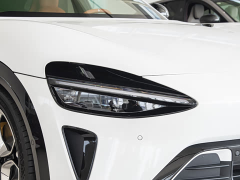 2025�� ������������Pro��