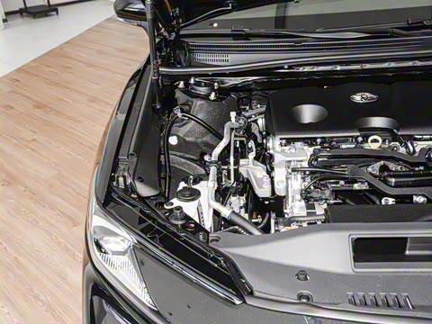 2026�� 2.0GVP ������