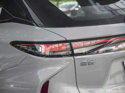 2025�� 100������Plus����