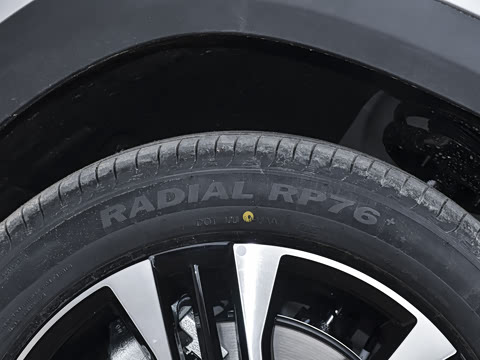 2026�� �����