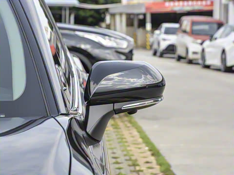 2026�� ˫�� 2.5HG ����