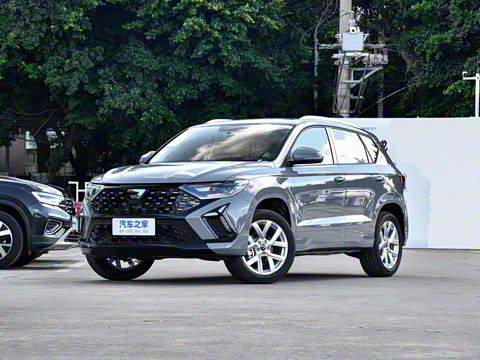 2026�� 280TSI �Զ��ȷ��