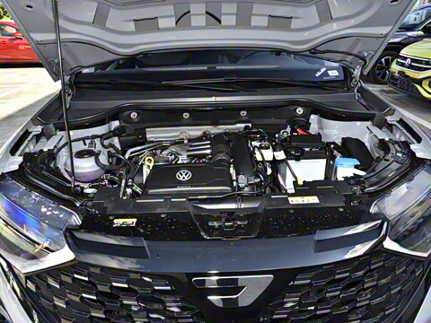 2026�� 280TSI �Զ��ȷ��