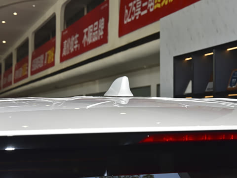 2025�� �ʹ� ˫�� 2.5L ī���