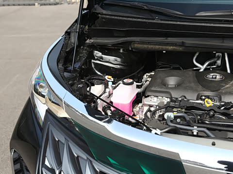 2026�� 2.5L �߶���