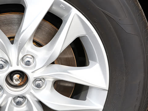 2026�� 2.5L �߶���