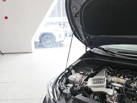 2026�� ����L 185T ������