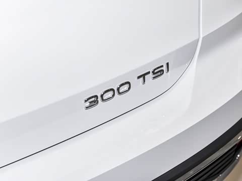 2026�� 300TSI ��°�