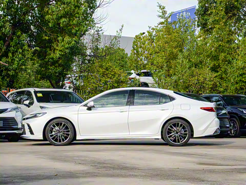 2026�� ˫�� 2.5HXS �˶�Plus��