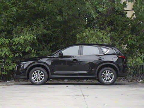 2025�� 2.0L �Զ���������Pro