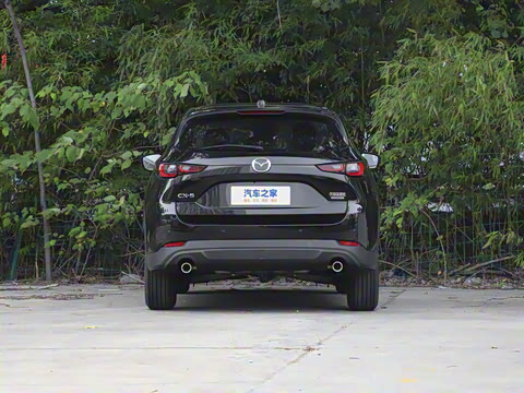 2025�� 2.0L �Զ���������Pro