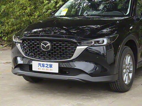 2025�� 2.0L �Զ���������Pro