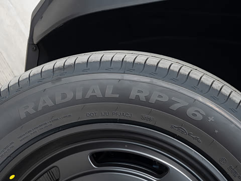 2026�� 550���������˶���