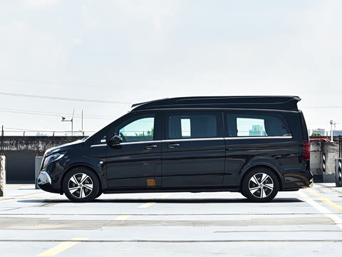 2025�� ������