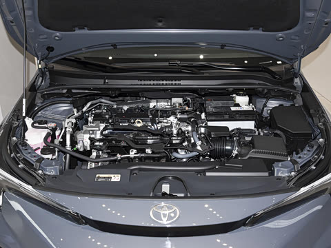 2026�� ����L ���Ͱ� 2.0L ������