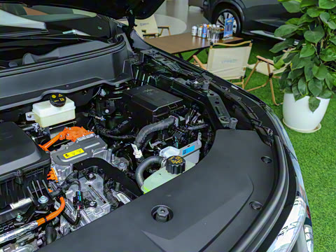 2026�� 165km �����������콢�� 7��