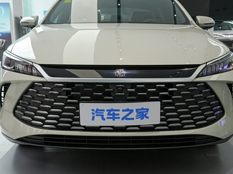 2026�� DM-i 210KM��ȡ��