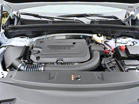 2026�� ������Plus 28T �����׽��